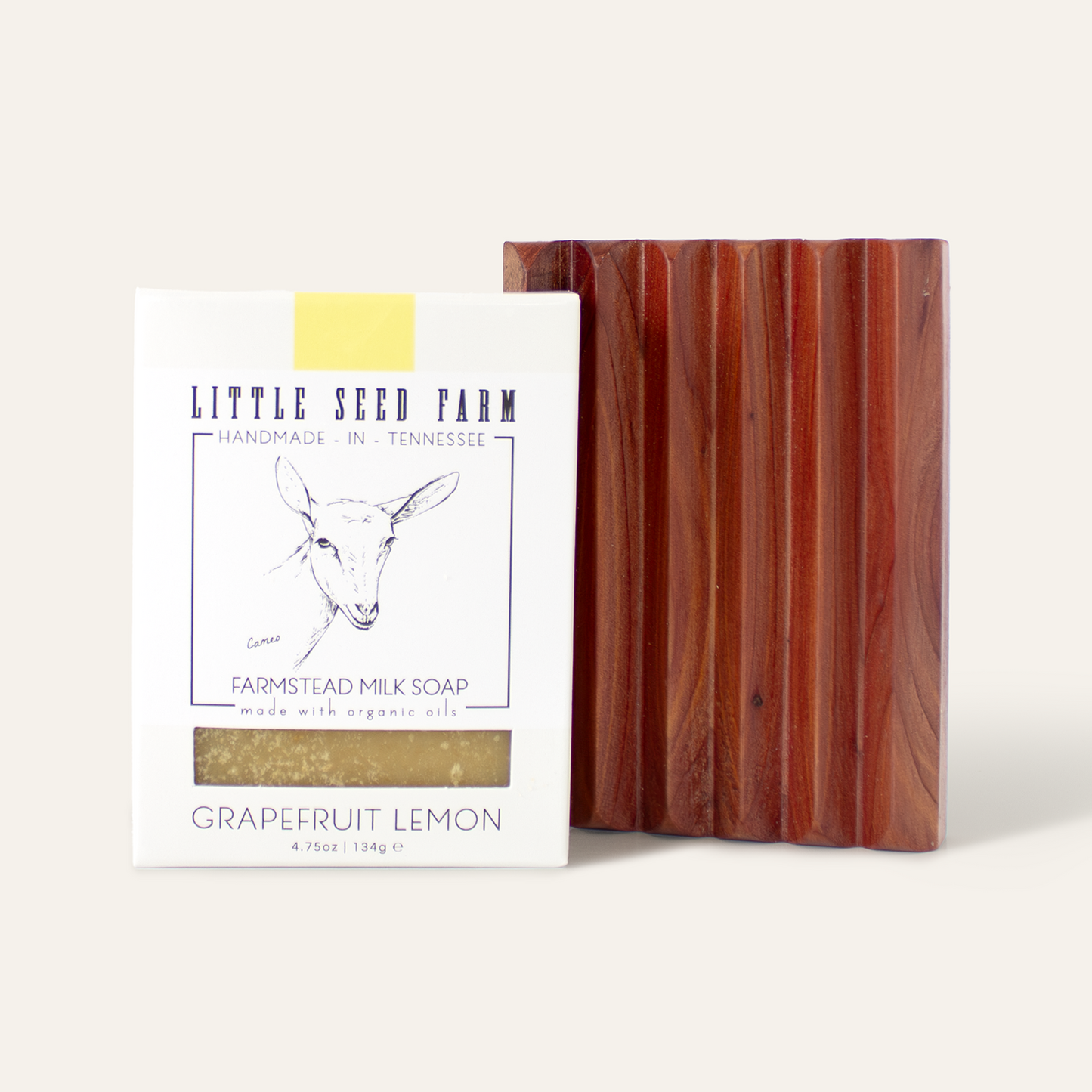 Soap Bar + Dish Set